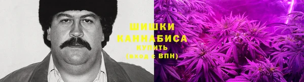не бодяженный Ладушкин