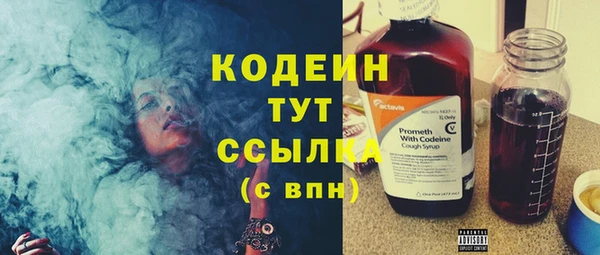 2c-b Лабытнанги