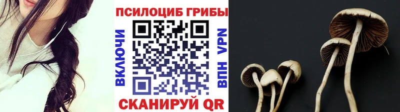 Галлюциногенные грибы GOLDEN TEACHER  Северская 